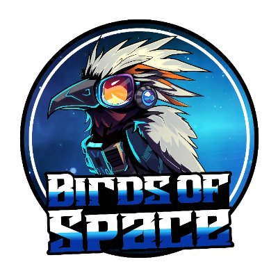 Bird of Space IDO logo